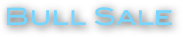 Bull Sale




