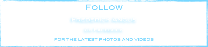 Follow

Frederick Angus 

on Facebook 

for the latest photos and videos
